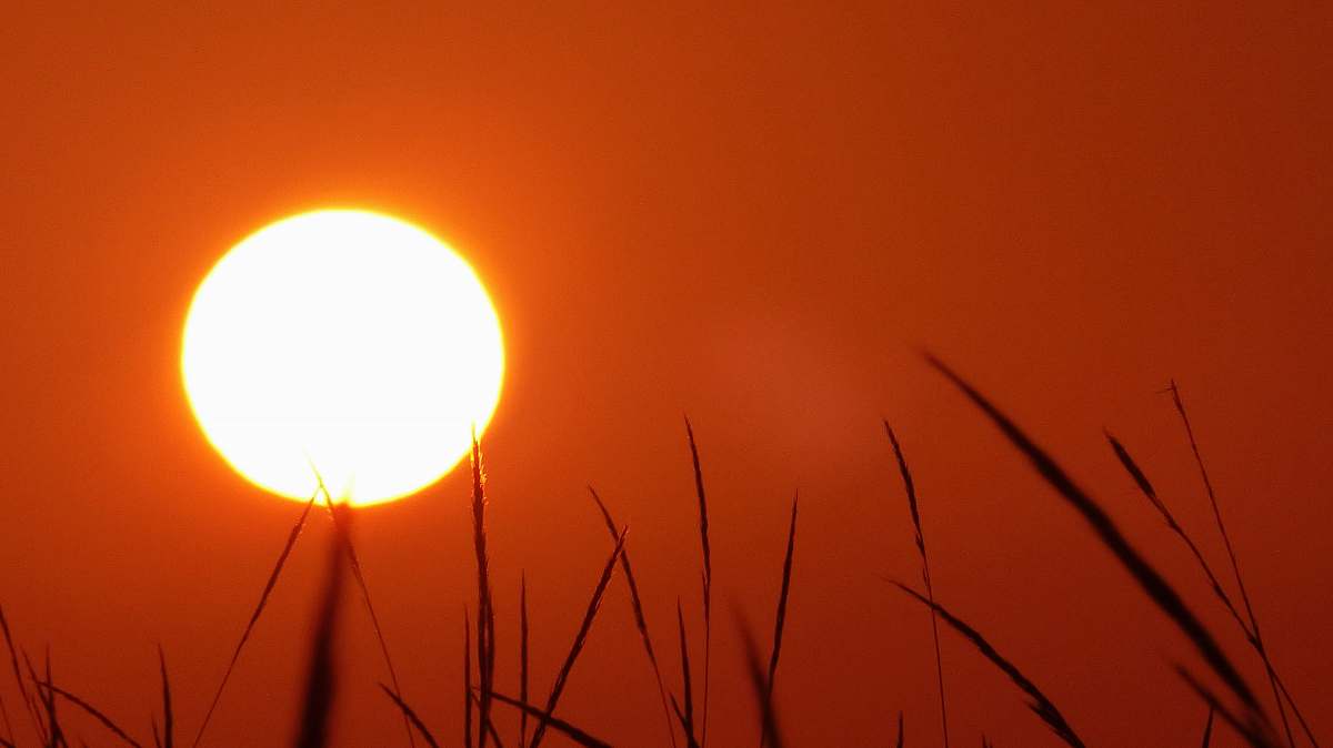 sky yellow sun outdoors