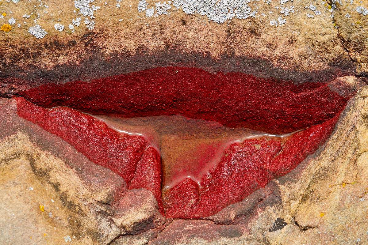 canada brown rock with lips paint brown
