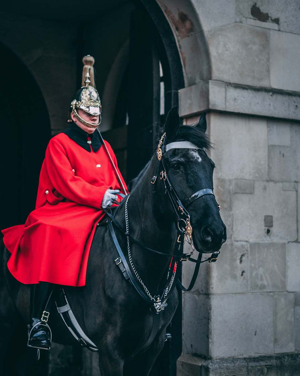 human man wearing red coat riding on black horse person