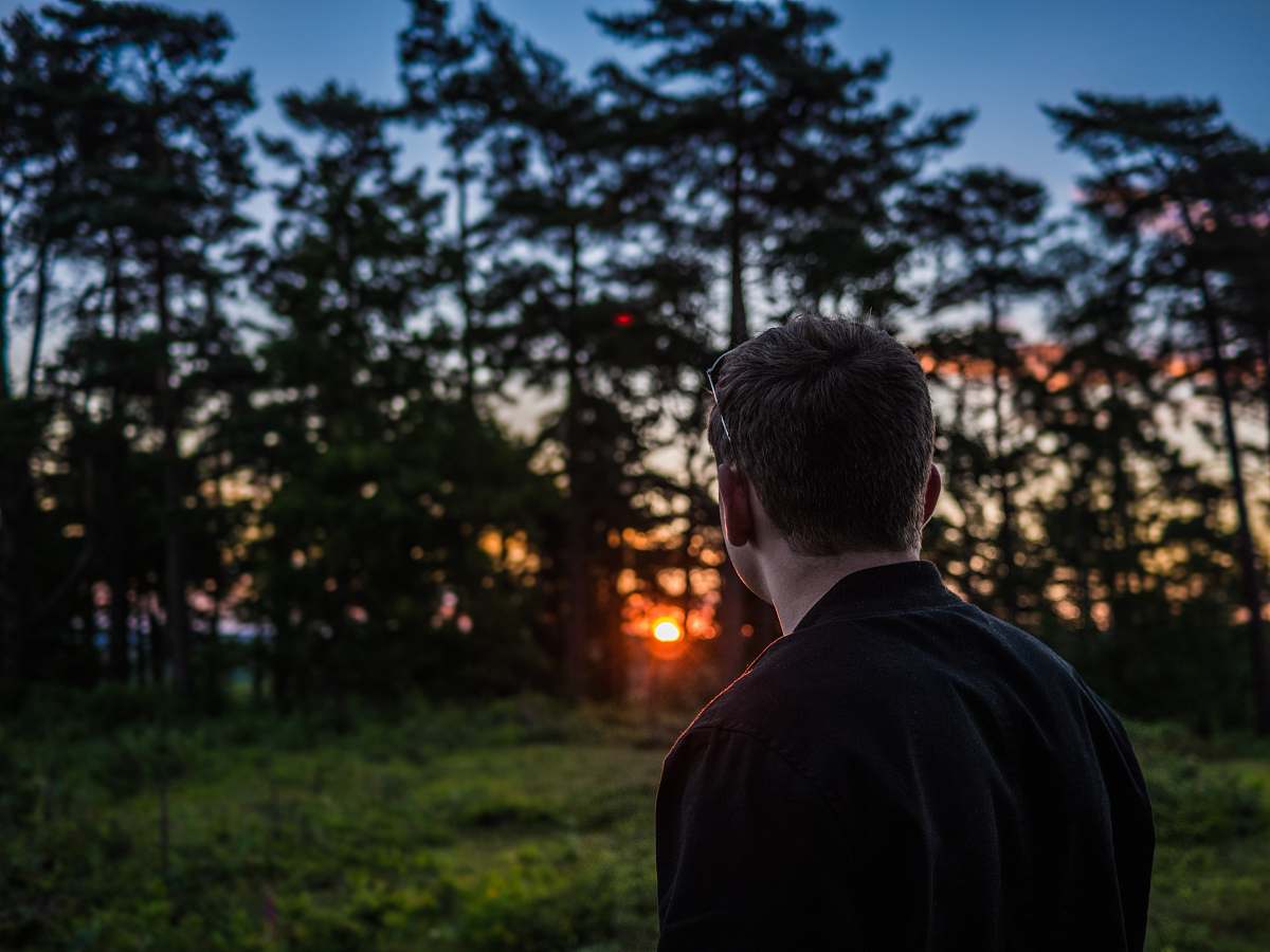 trees photography of man looking sunset in front of green leafed trees back