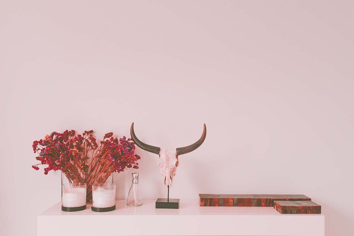 background animal skull table decor interior