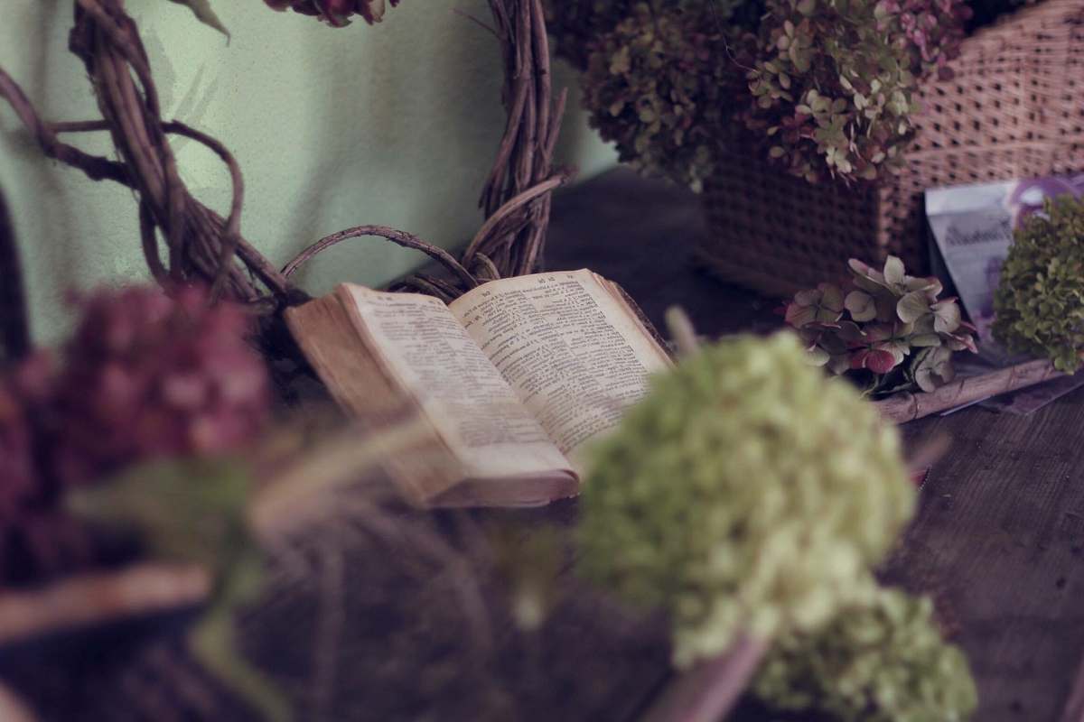flowers brown book on wooden table book