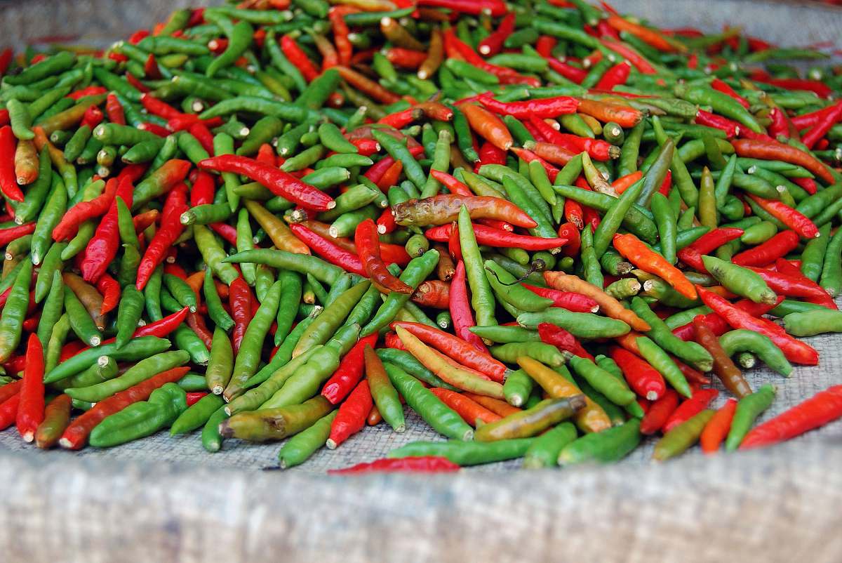 pepper close-up photography of green and red chili food