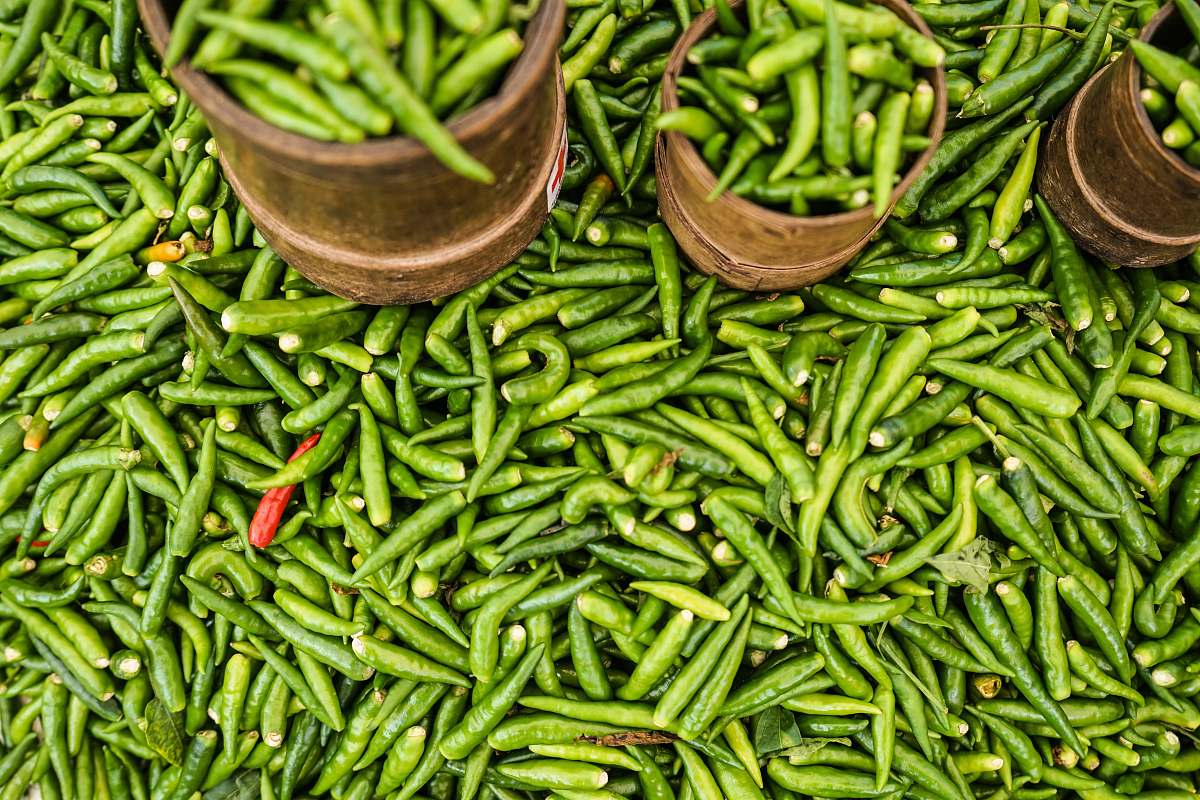 vegetable green chilly produce