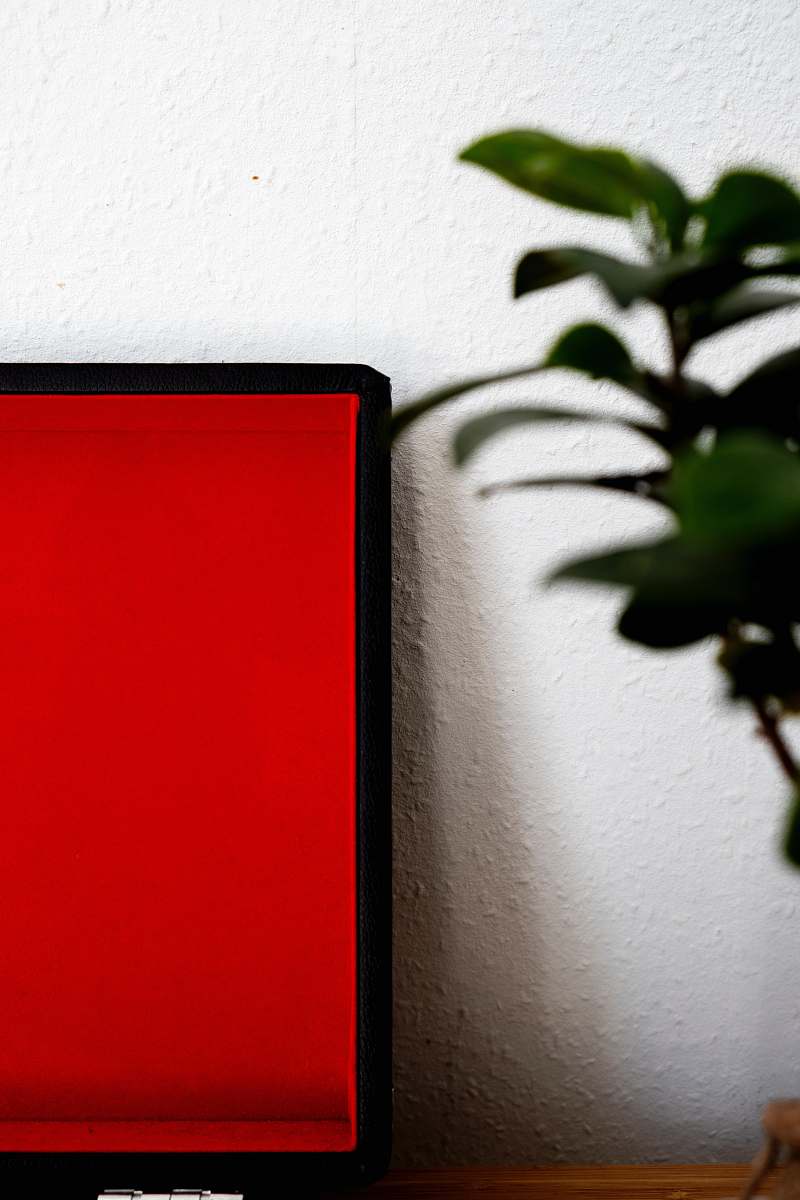red green leafed plant electronics