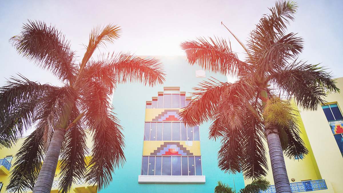 tree low-angle photography of teal building palm tree