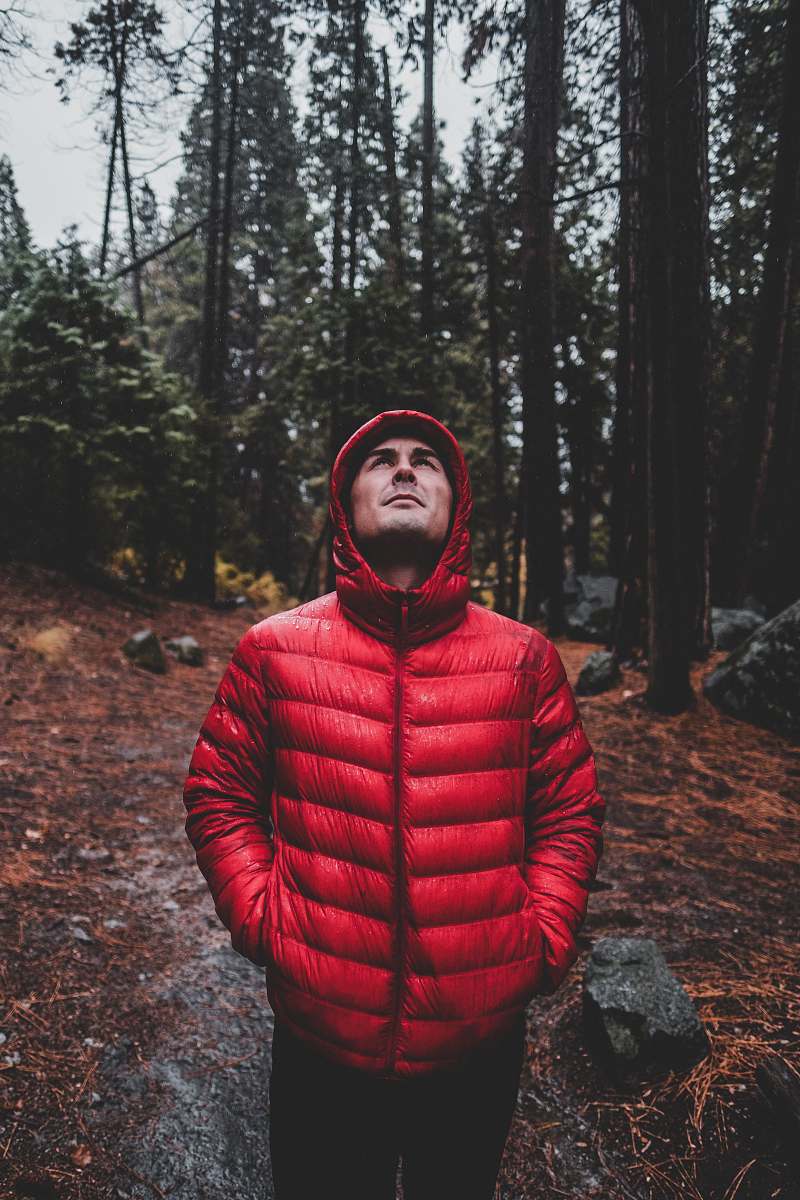 forest man in bubble jacket walking in forest during daytime vegetation