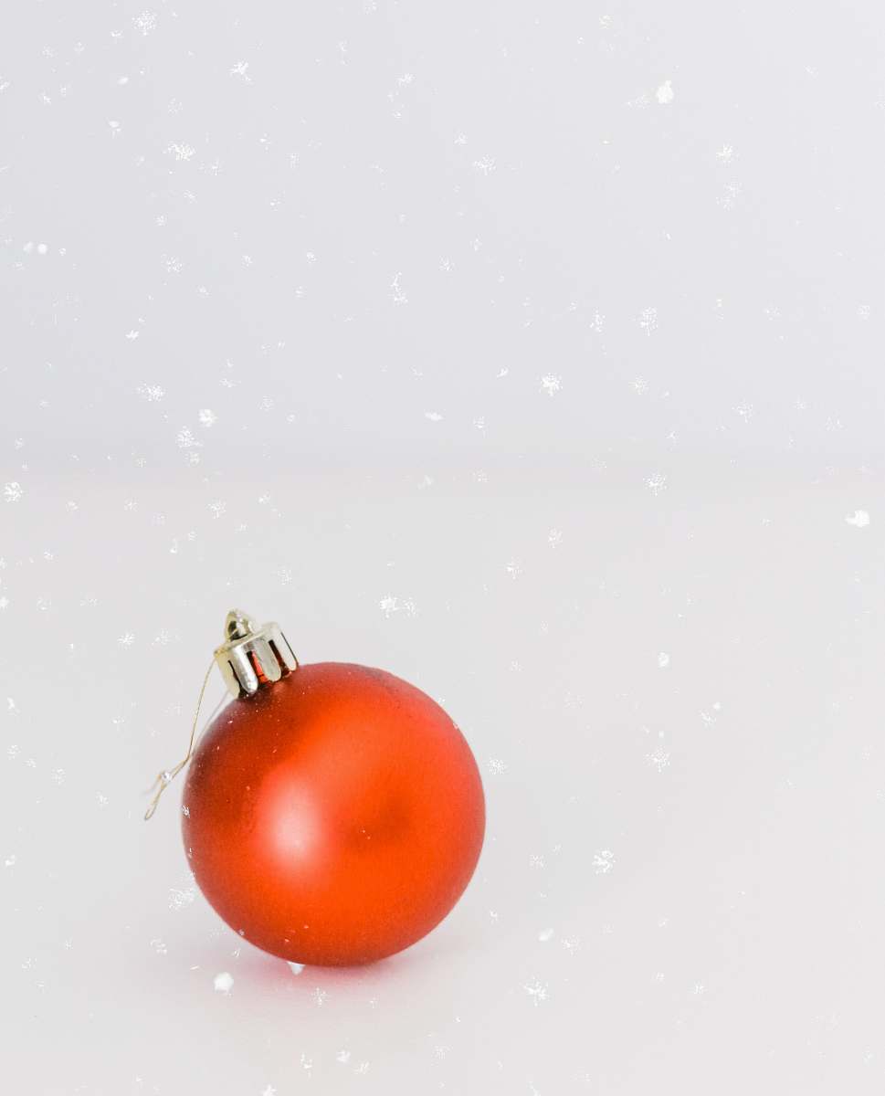food orange bauble ornament vegetable