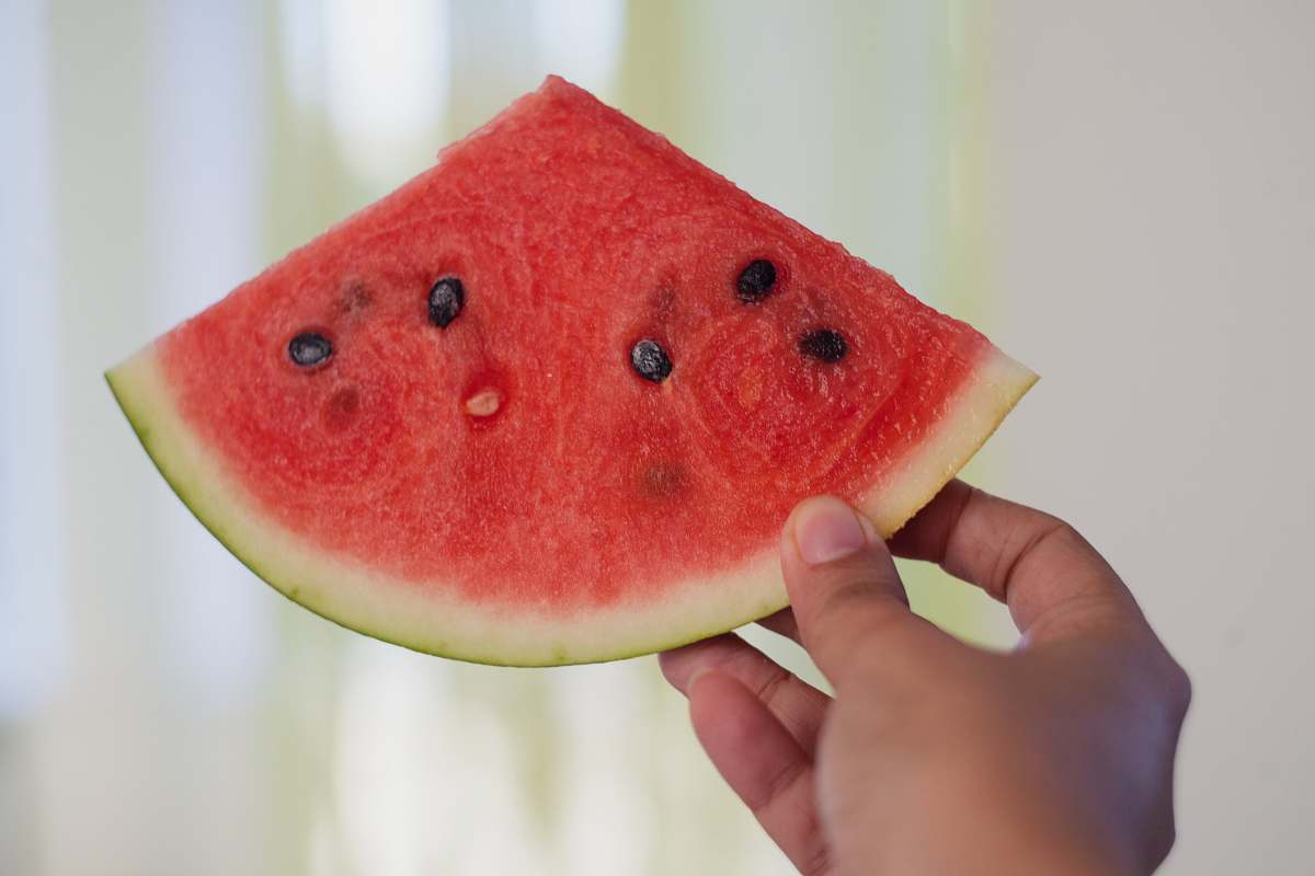 person red watermelon human