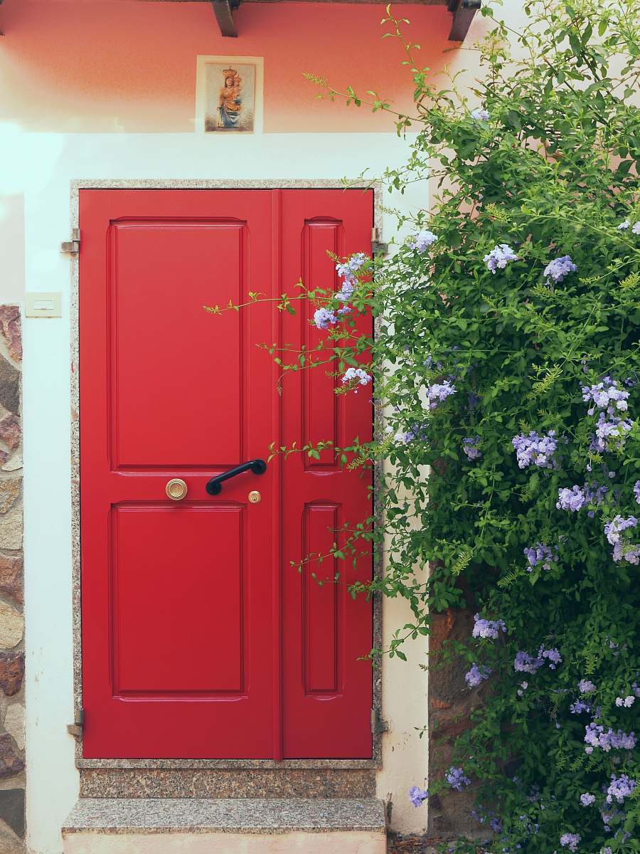 door red wooden 2-panel door vase