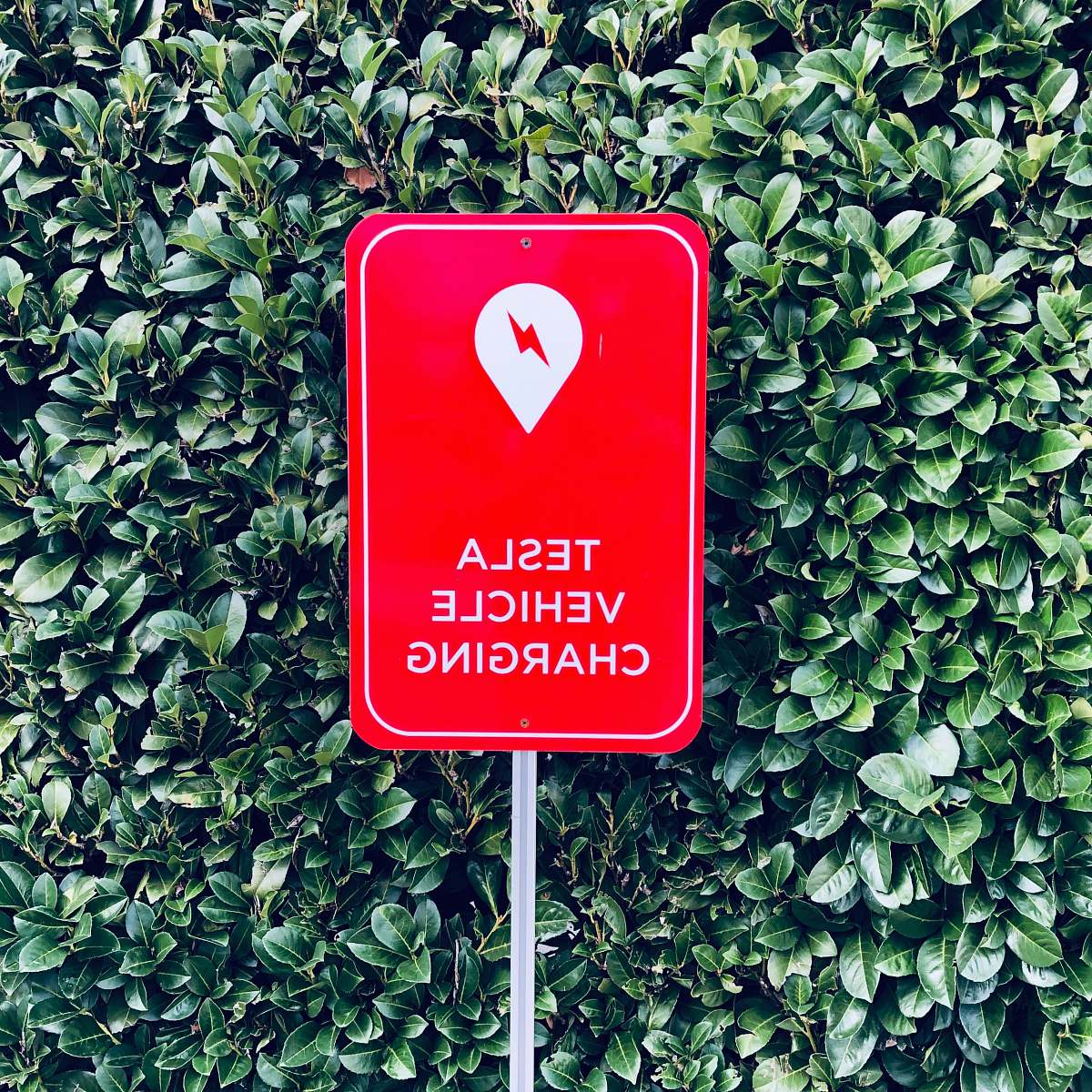 sign Tesla Vehicle Charging sign ivy