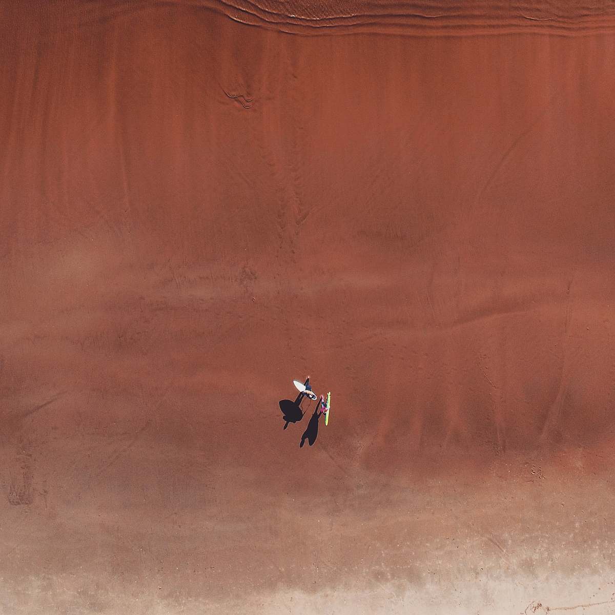 ardeidae aerial photo of two person in desert bird