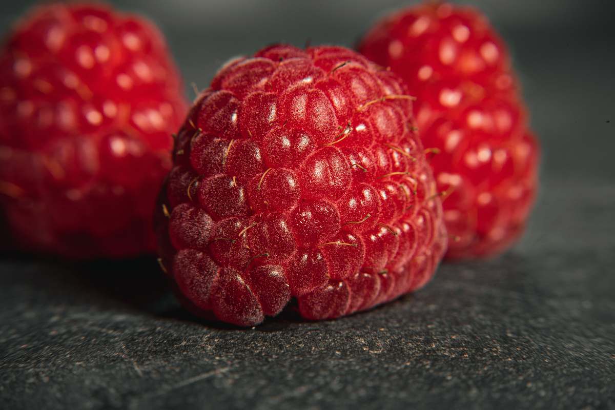 fruit red raspberry fruit flora