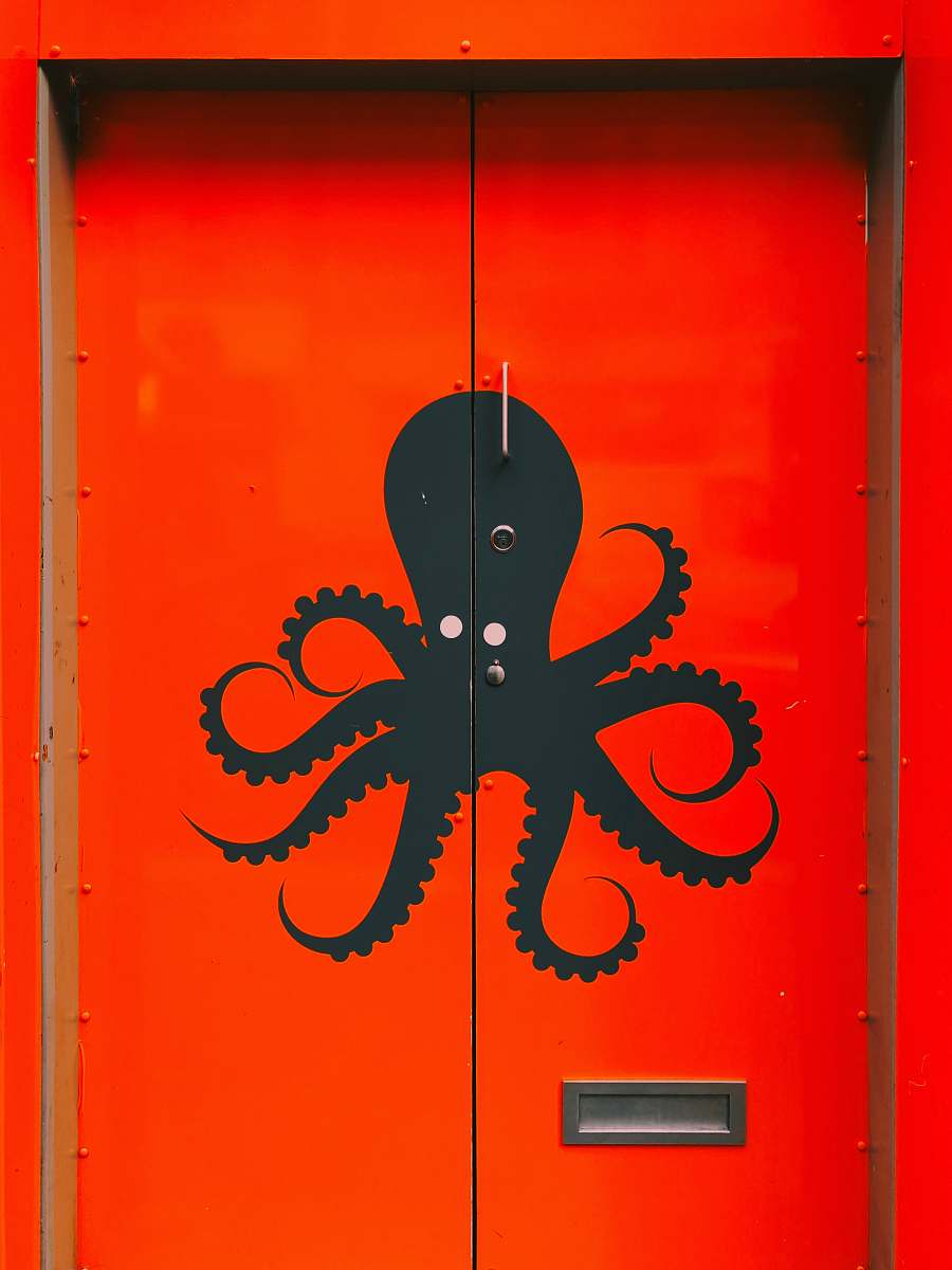 door closed red door octopus