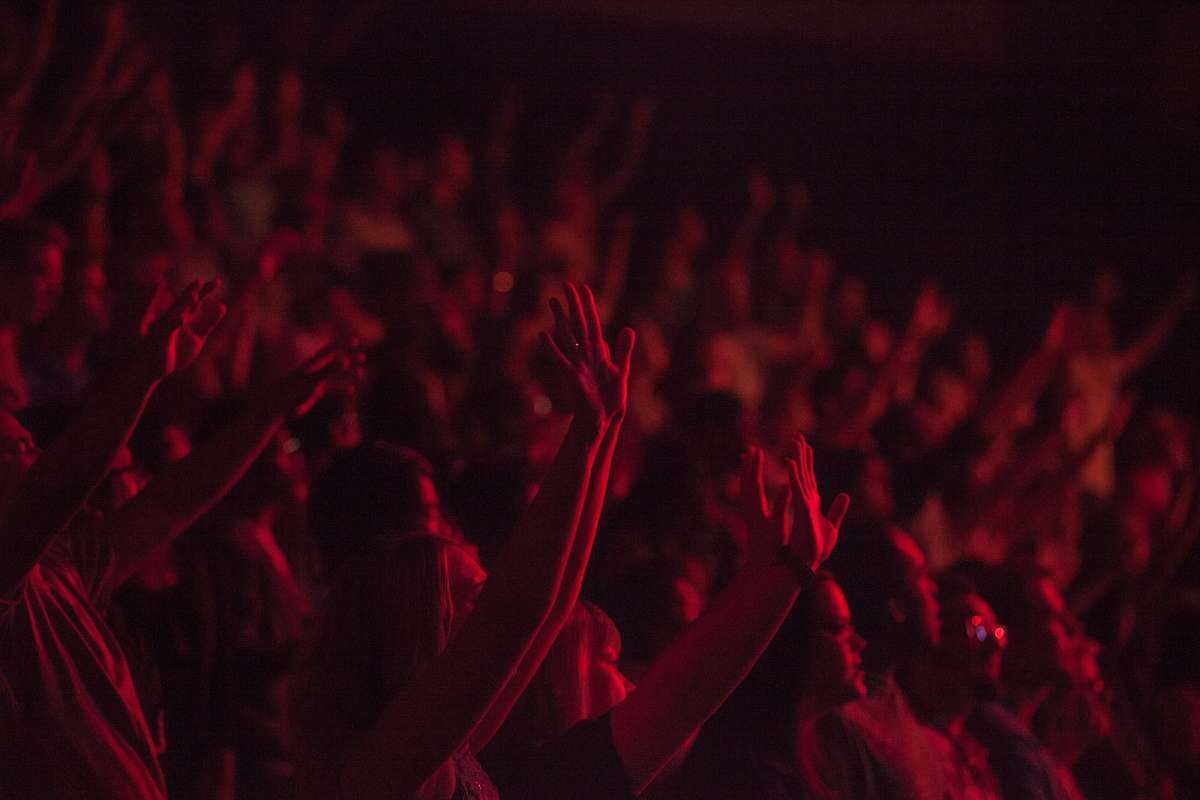 crowd crowd lifting their hands watching concert concert