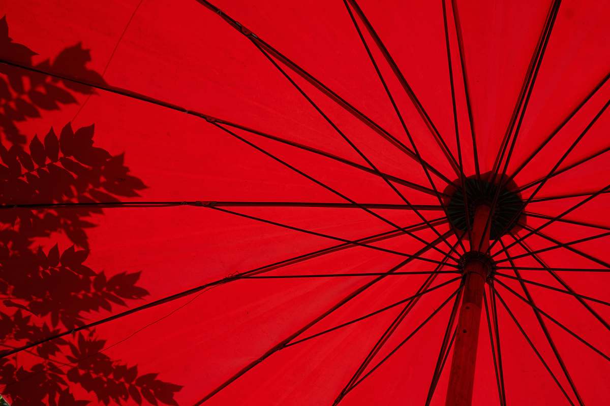 umbrella low angle photo of red umbrella canopy