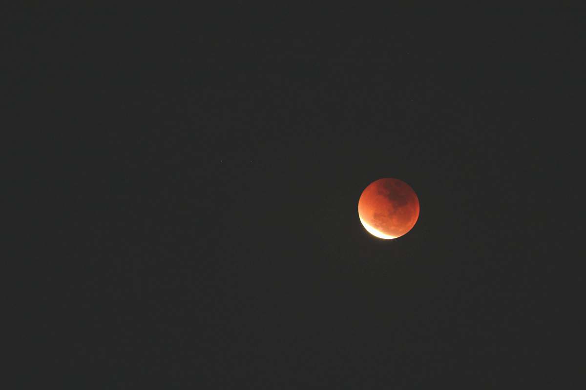 brown lunar eclipse photo orange