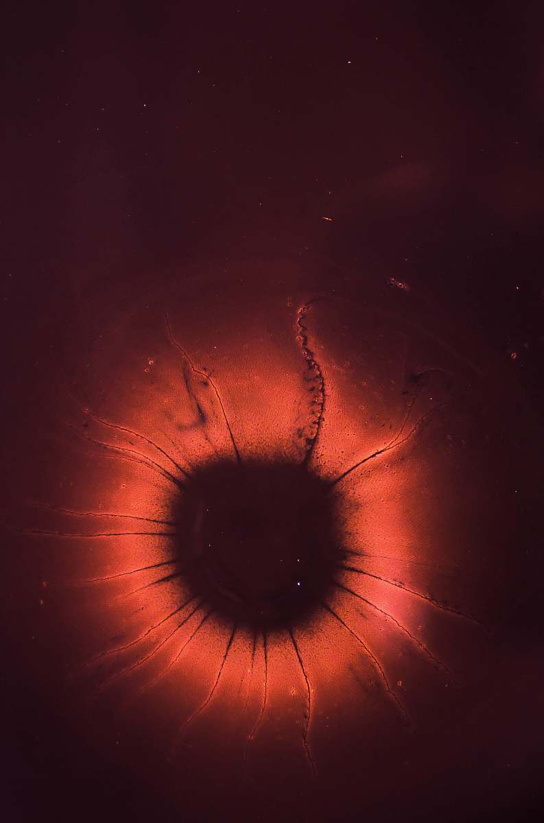 texture microscope photography of red and black microorganism abstract