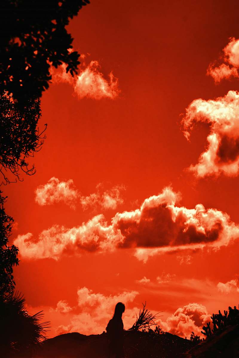 nature orange sky outdoors