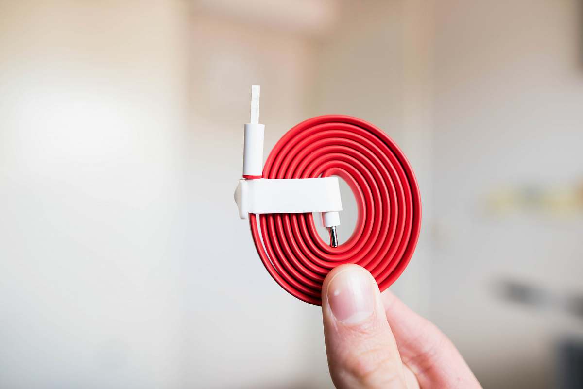 cable person holding white and red cable gouda