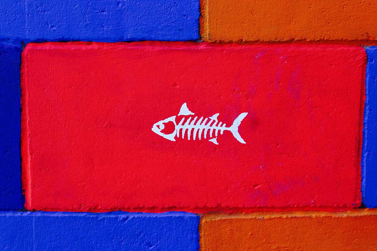 gulfport photo of white fish painted brick united states