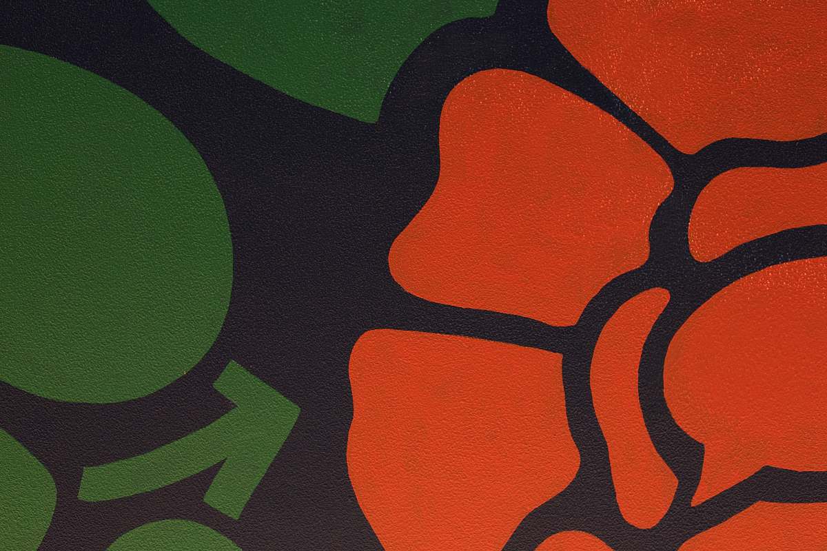 art red, black, and green floral illustration toowoomba