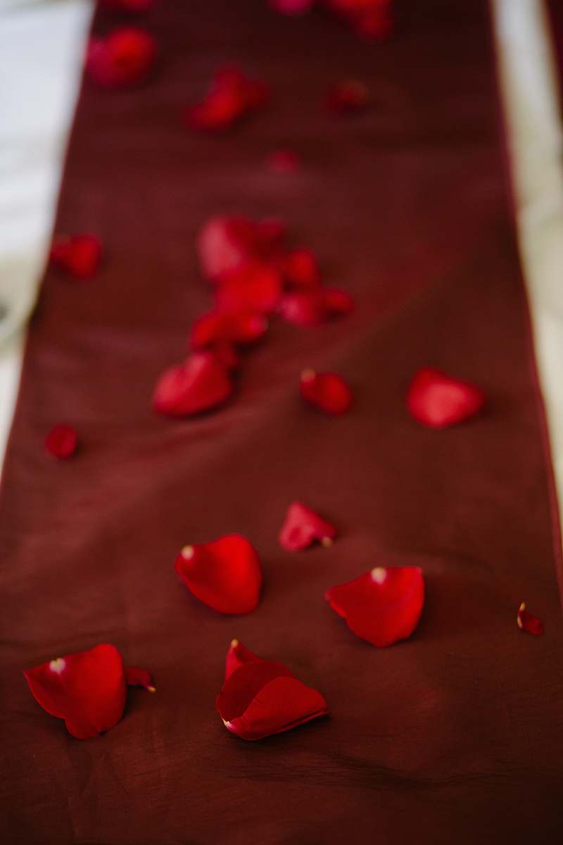 flower red flower petals on brown textile petal