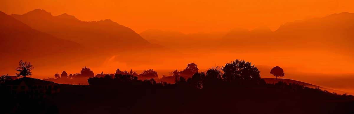 sunrise silhouette of trees with mountai n in distance sunset
