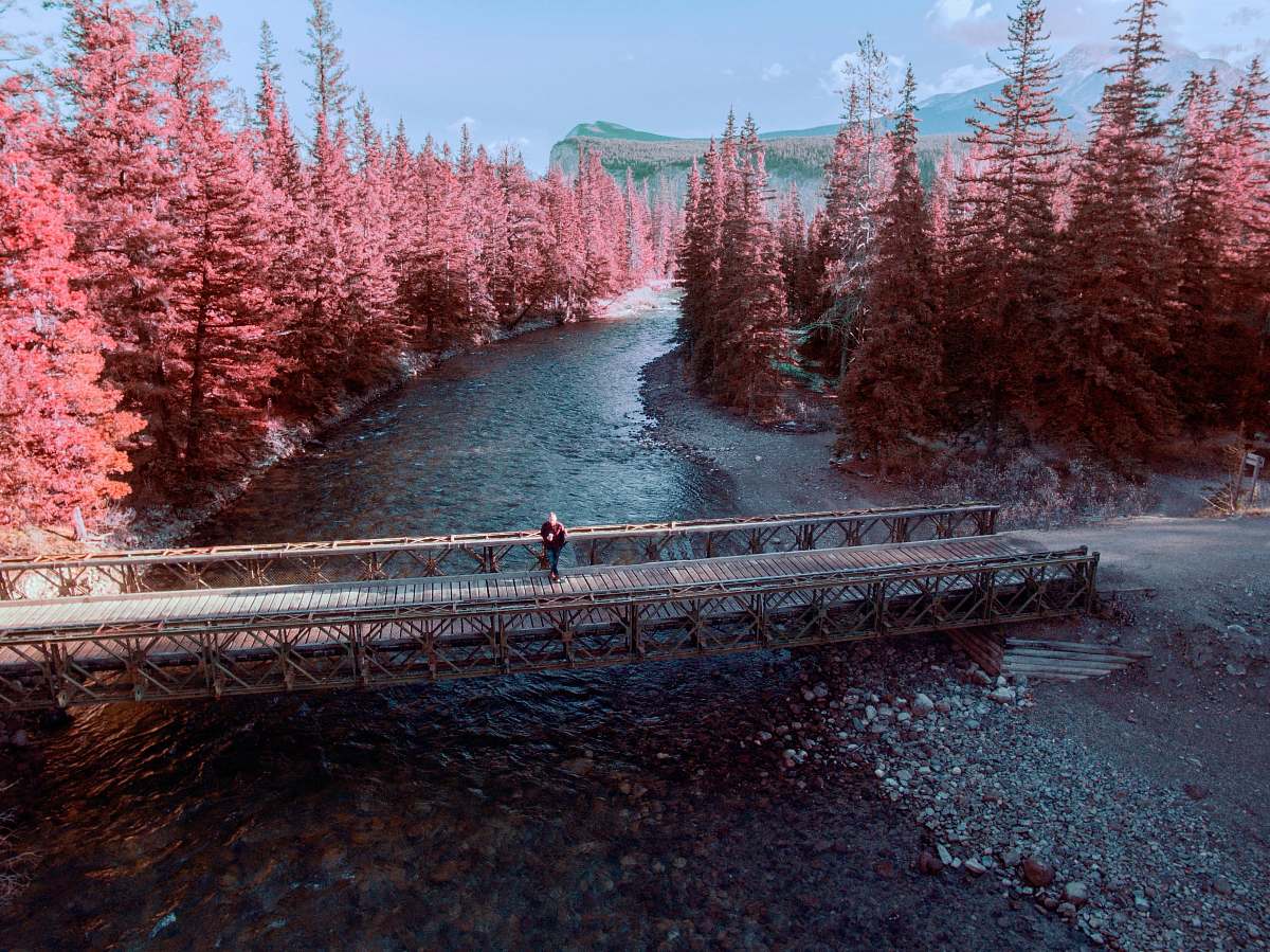 tree person walking in brown wooden bridge during day time forest