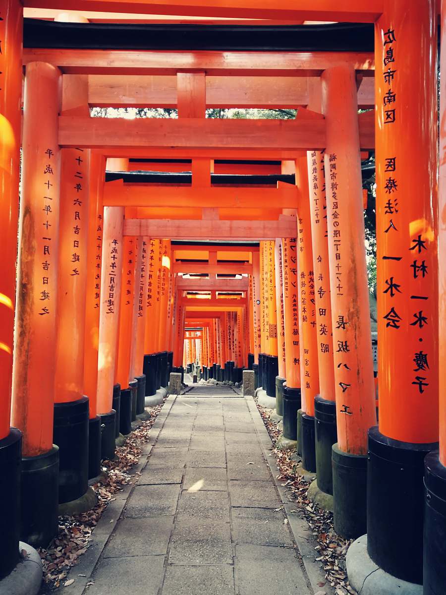 japan gray concrete pathway between red-and-black posts torii
