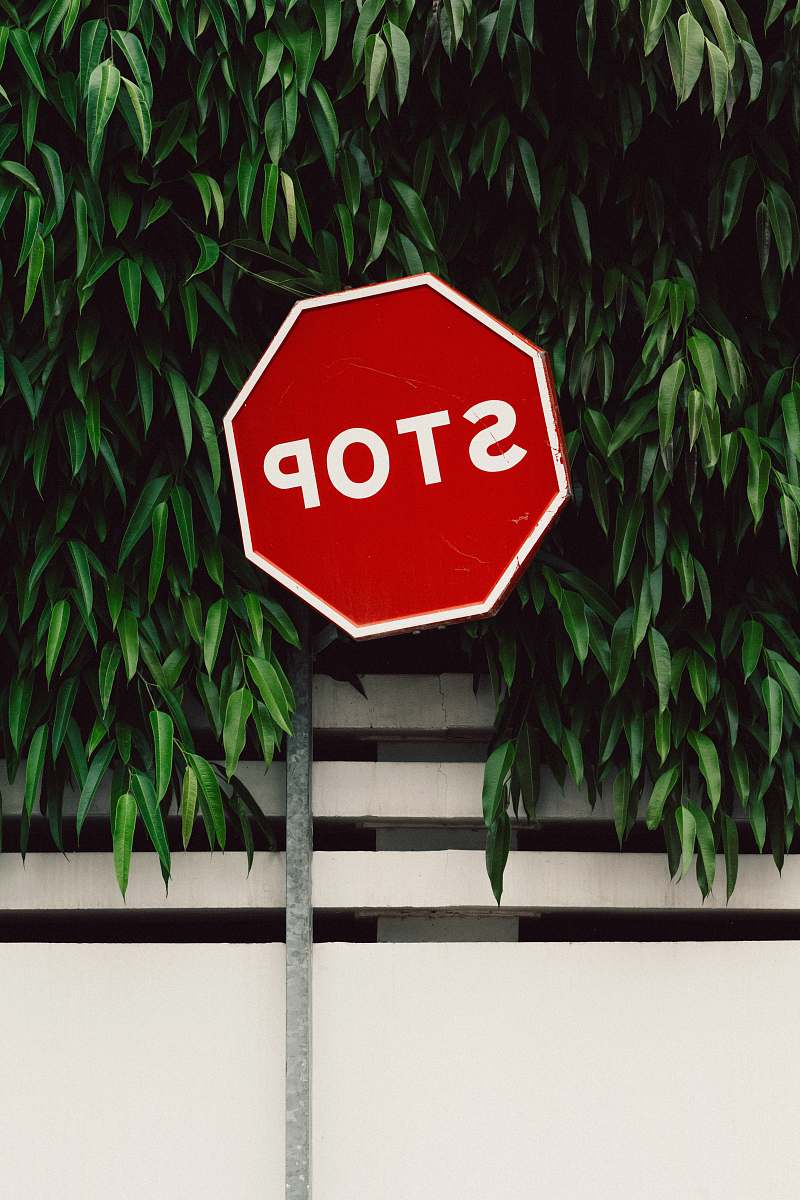 plant red and white Stop road sign near green tree street sign