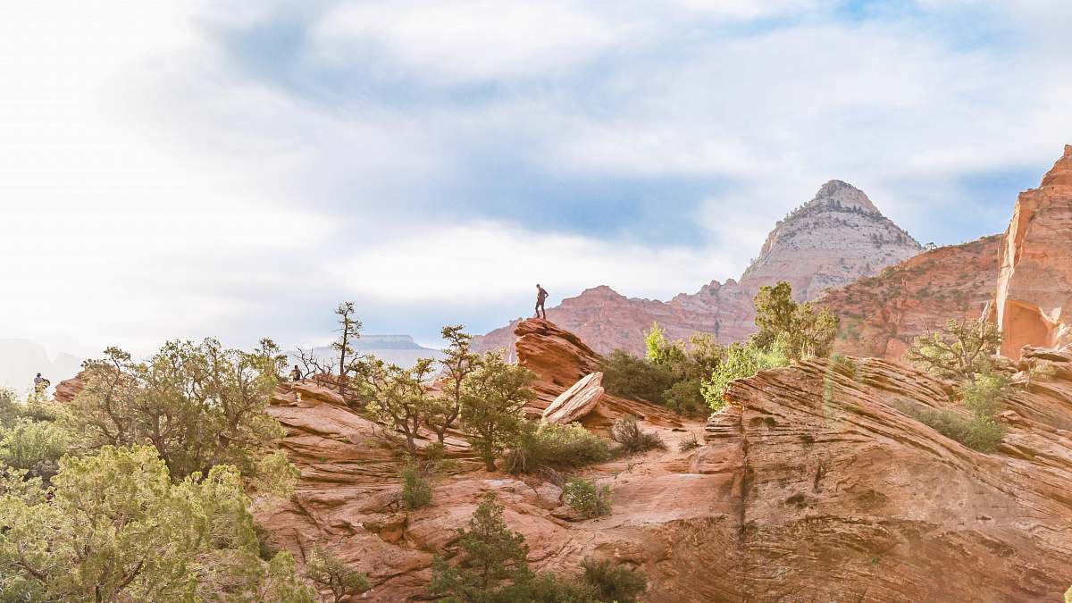 desert canyon surrounded with trees nature