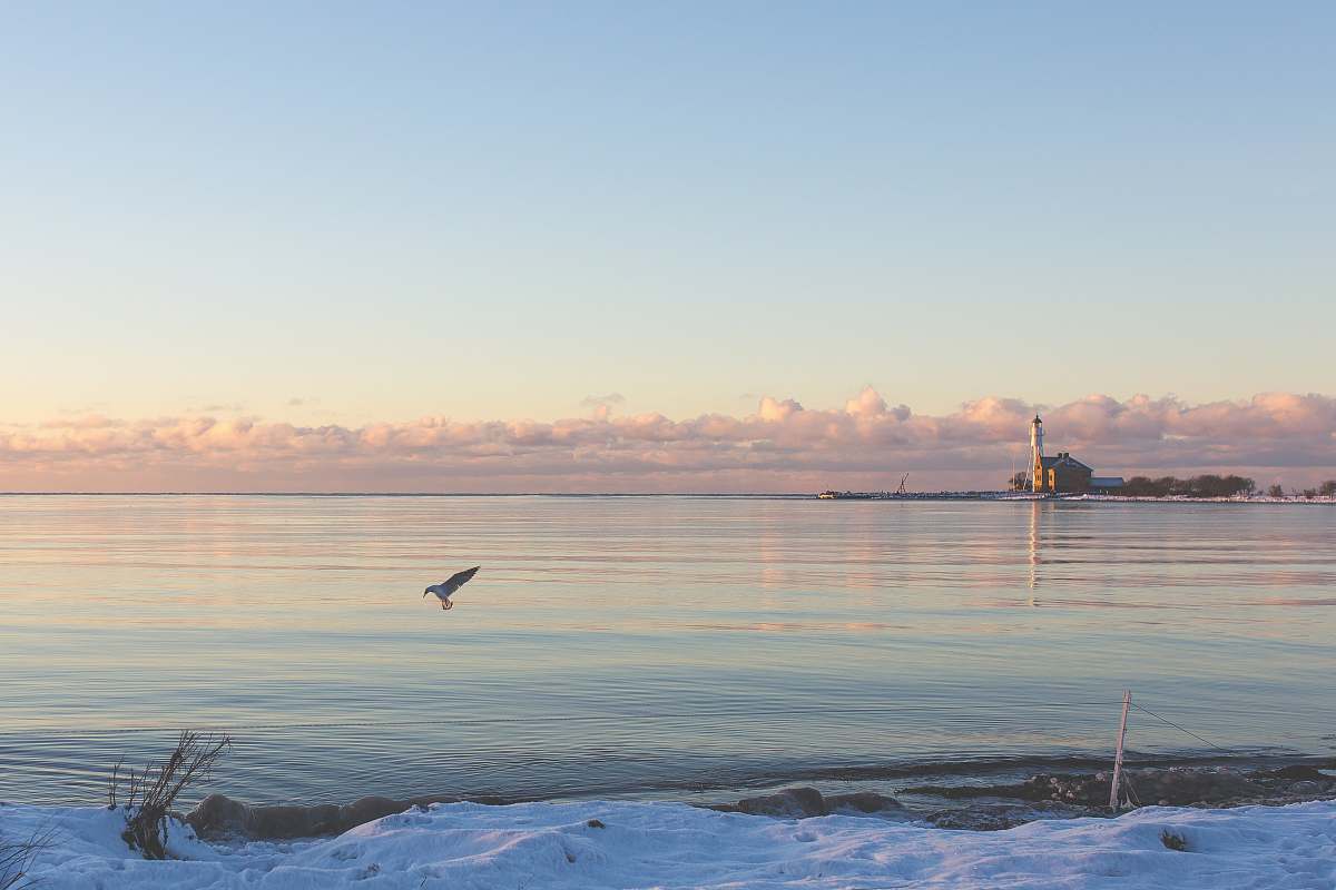 lighthouse bird flying over body of water during daytime water