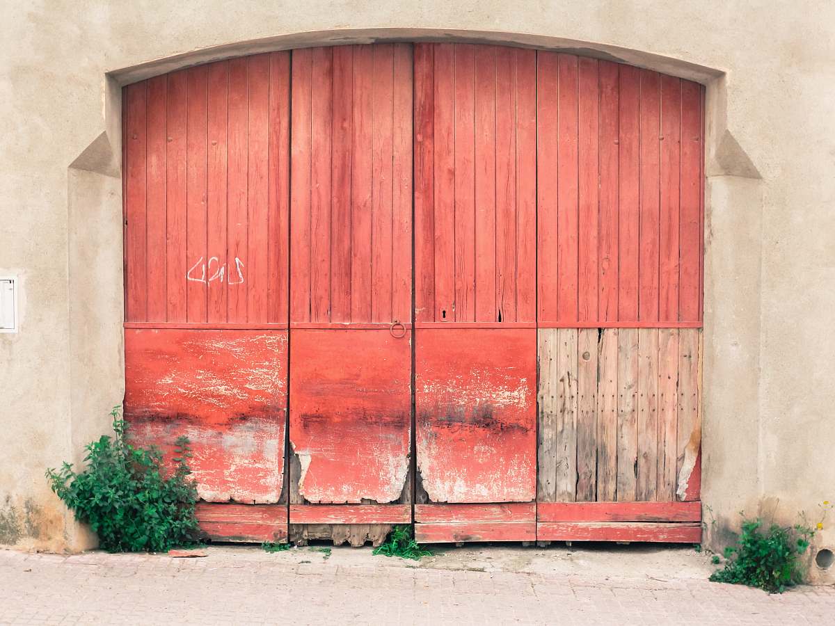 vase red wooden door flora