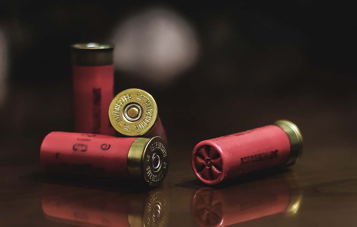 france red and gold shotgun shells wine