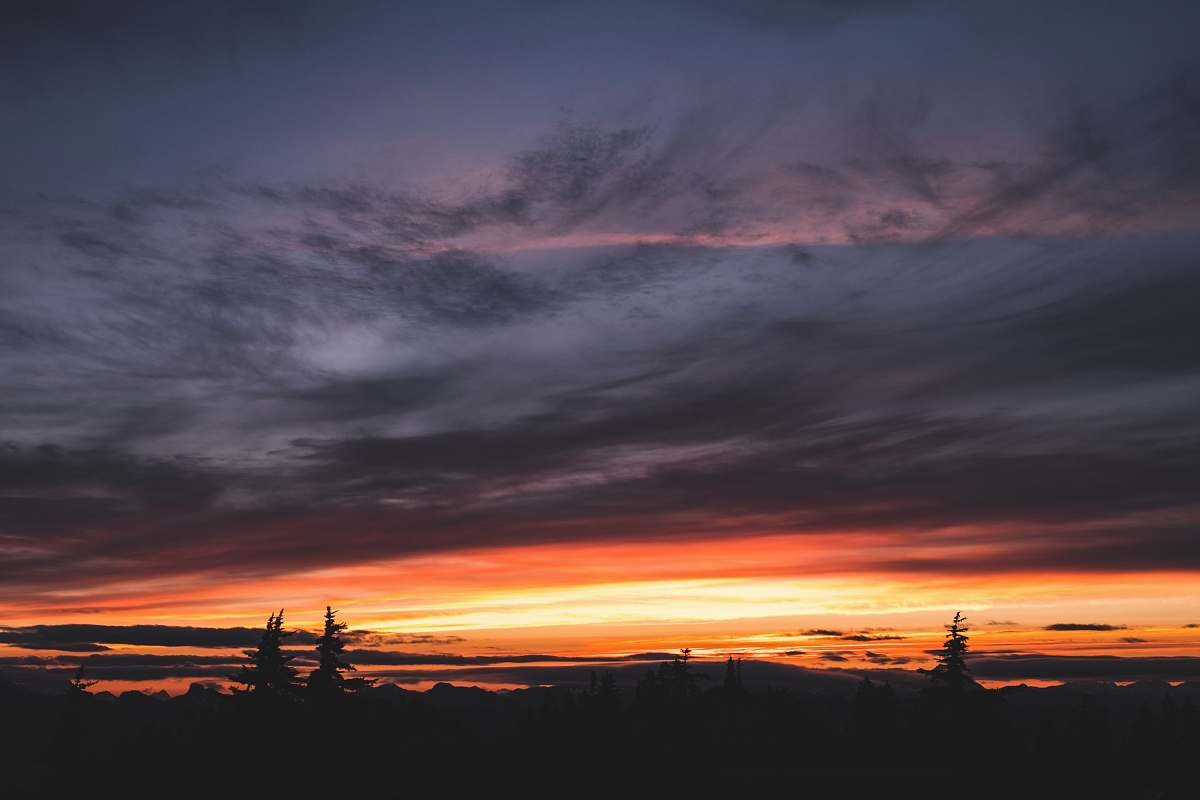 sunset sunset silhouette photo of trees under cloudy skies nature