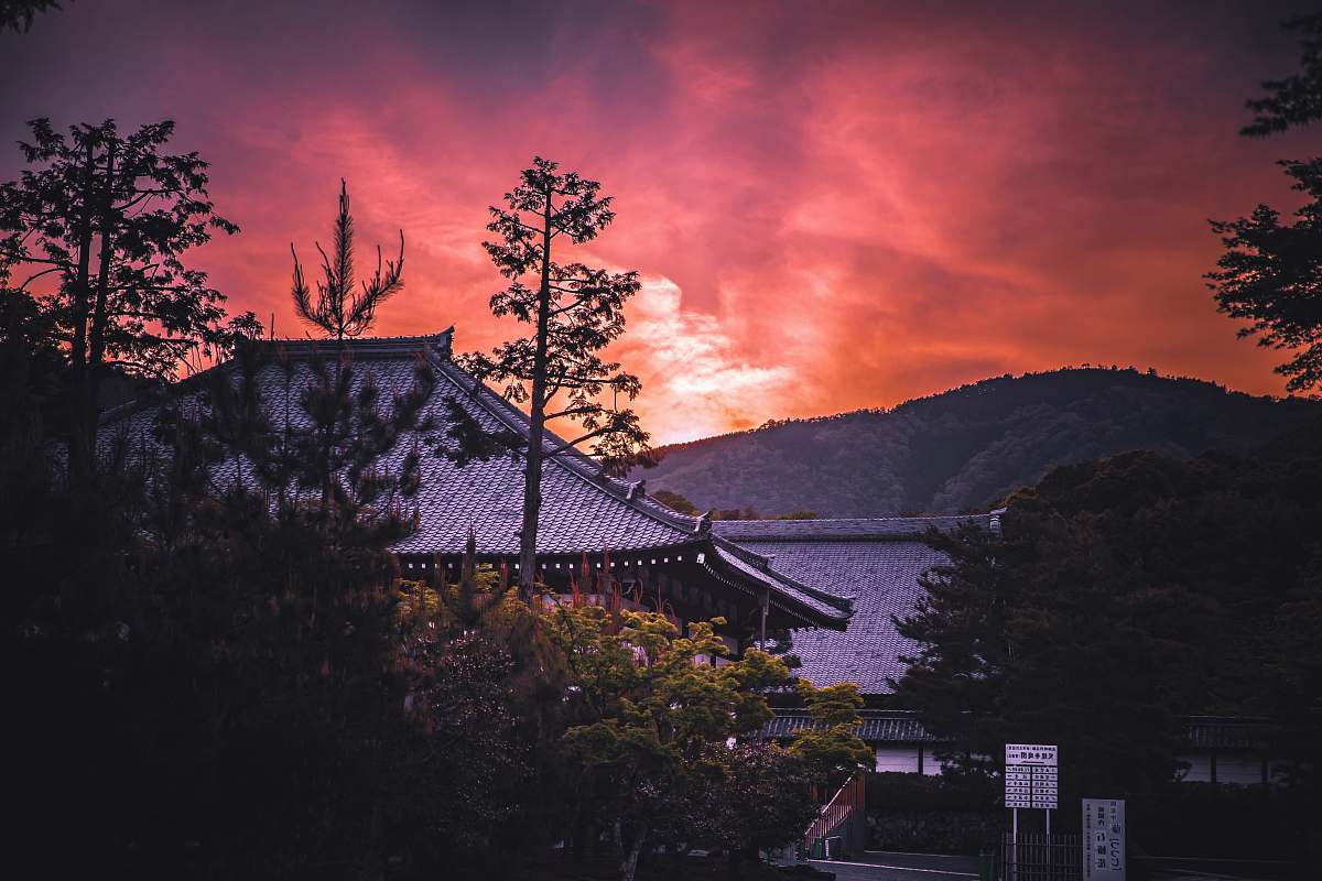 dusk gray roofed temple surrounded with trees sunrise