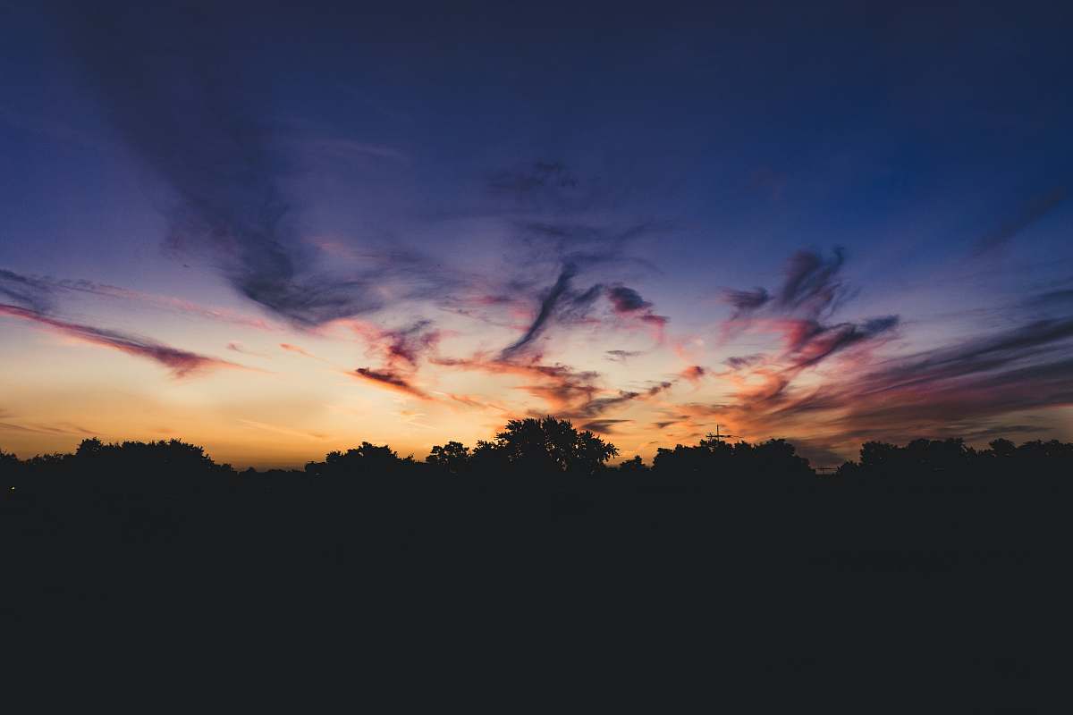 dusk silhouette of trees under orange and gray sky sky