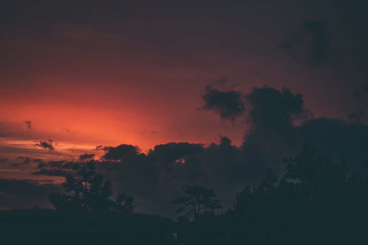 sky silhouette photo of tree under red sky dawn
