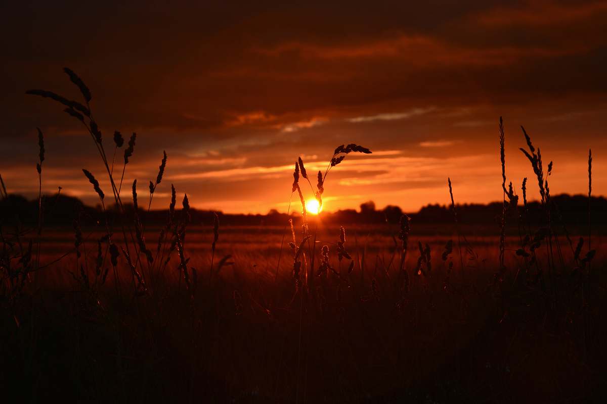 sky sunset view on farm field borgentreich