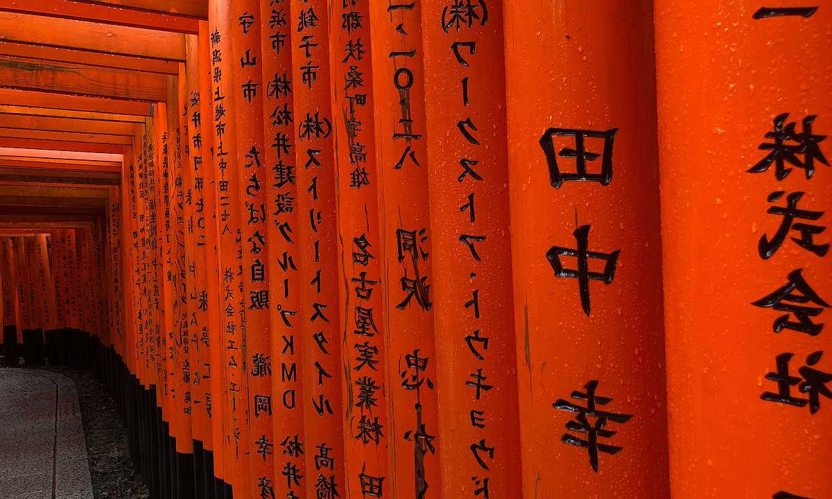calligraphy orange and black wall handwriting