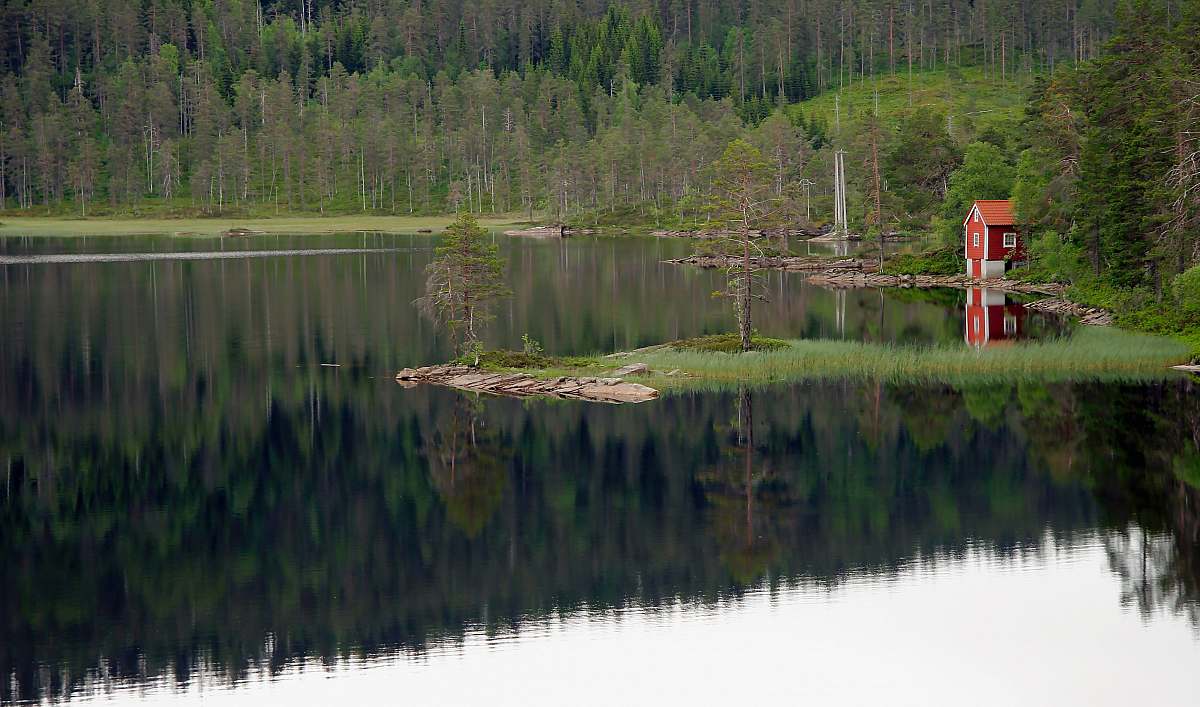 norway red house near body of water during daytime nature