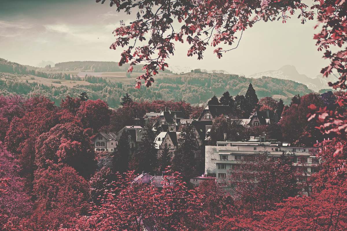 bern gray concrete buildings between red leaf trees at daytime switzerland