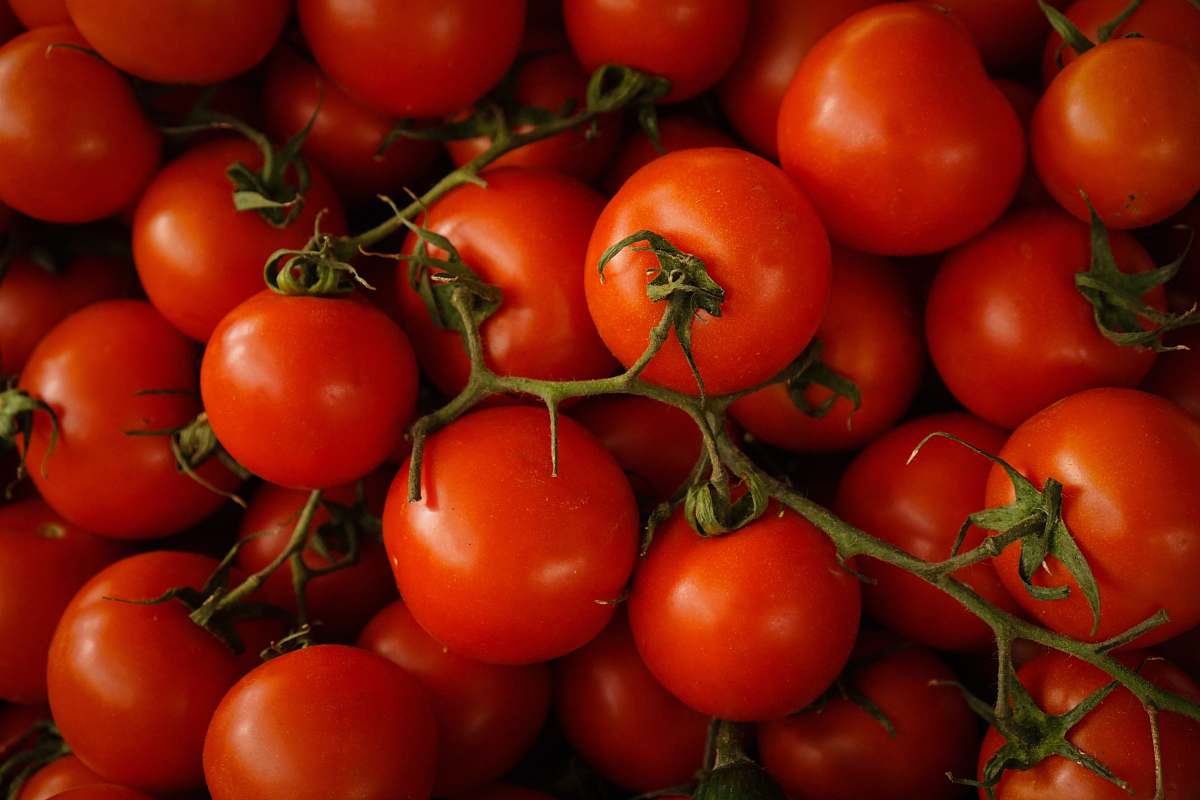 tomato red cherry tomatoes food
