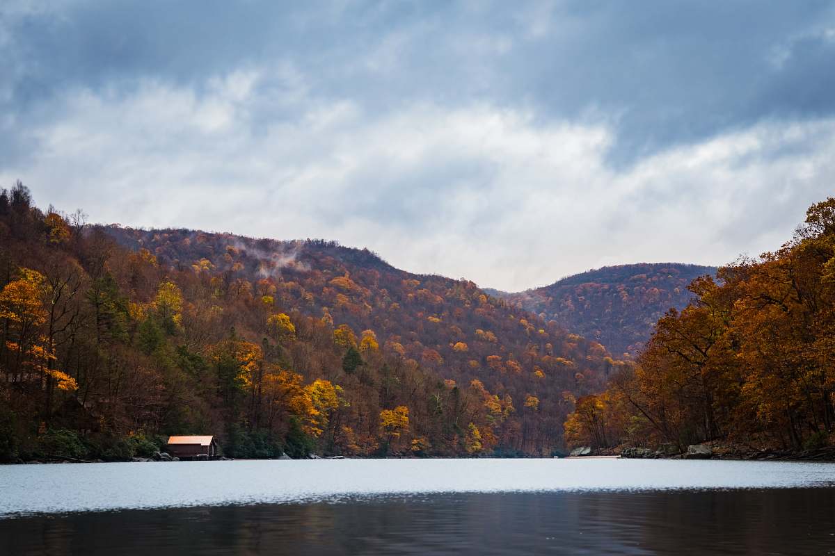lake landscape photo of trees near body of water forest