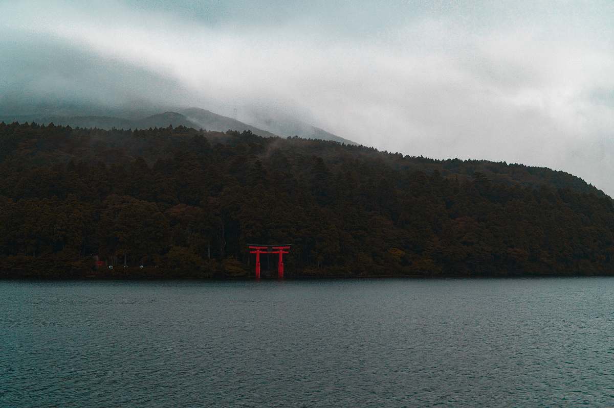 lake tree island near body of water tradition