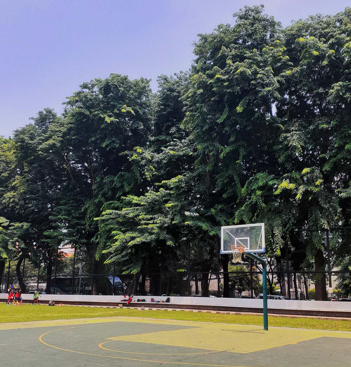 people green trees on gray concrete road during daytime person