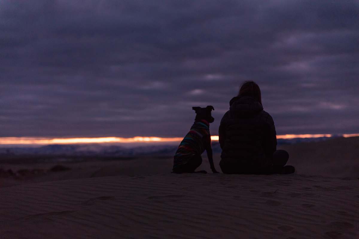 human man and dog sitting on sand during sunset person
