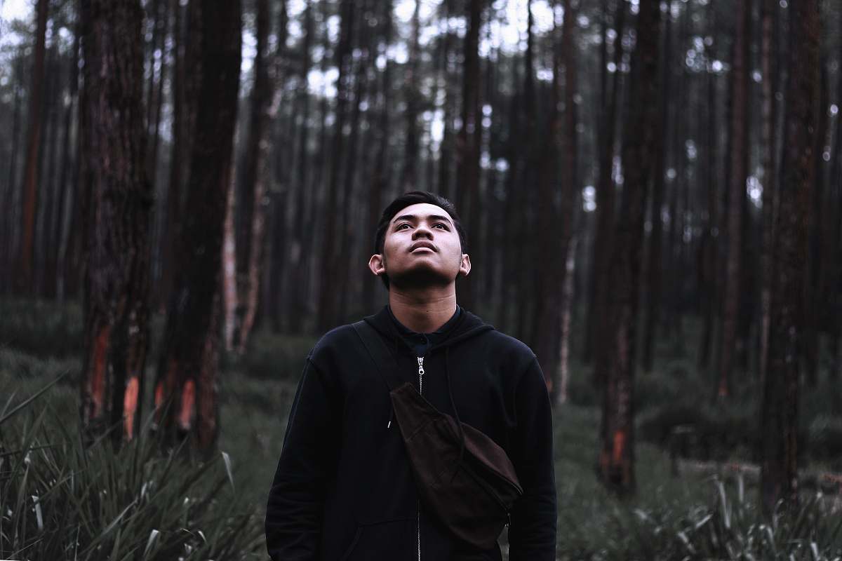 person man looking up near trees during daytime human