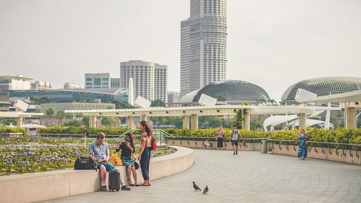 person man sitting on ledge beside plants human